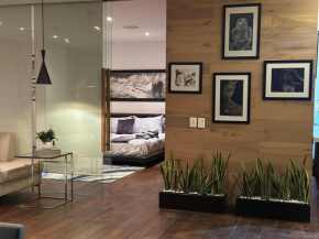 Luxurious and exotic apartment in Reforma 222